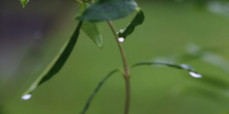 10/17/23-participate-in-the-“imagine-a-day-without-water”-event
