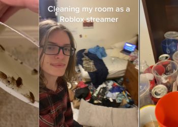 powenvy-/-roblox-streamer-cleans-room-|-know-your-meme