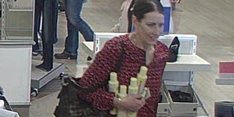 bridgeport-pd-asking-for-help-iding-woman-in-meadowbrook-mall-investigation-–-wdtv