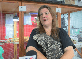 nonprofit-reacts-to-facebook-disabling-recurring-donations-feature-–-wwaytv3