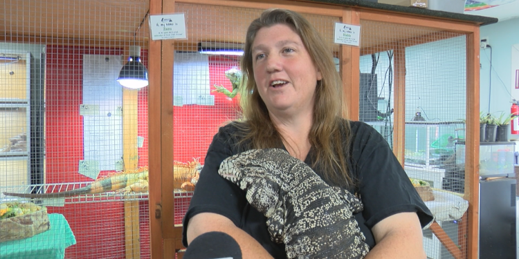 nonprofit-reacts-to-facebook-disabling-recurring-donations-feature-–-wwaytv3