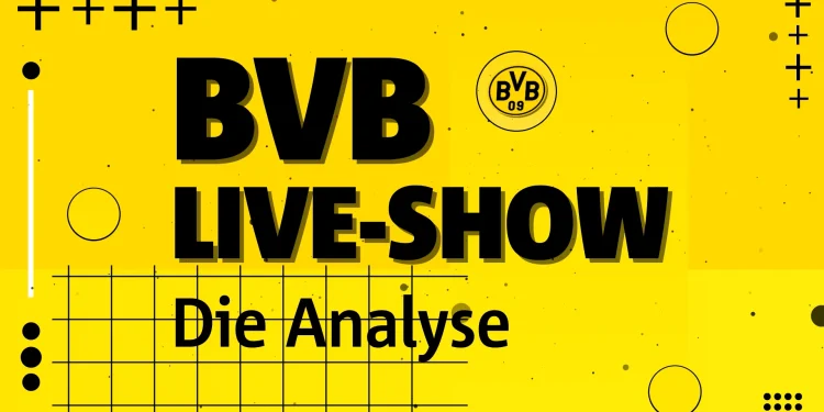 analyse-bvb-–-newcastle-on-vimeo