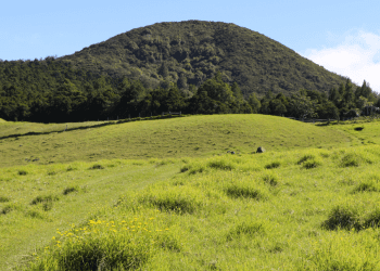 11/8/2023-–-$5-million-in-funding-headed-to-hawai'i-to-enhance-forests