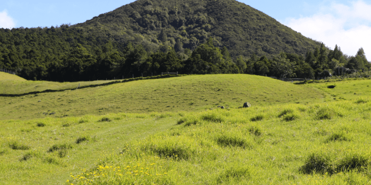 11/8/2023-–-$5-million-in-funding-headed-to-hawai'i-to-enhance-forests