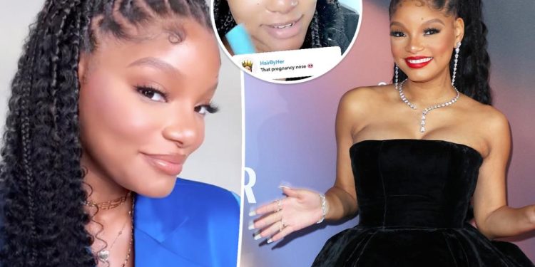 halle-bailey-reacts-to-fan-pointing-out-her-'pregnancy-nose':-'leave-me-the-hell-alone!'