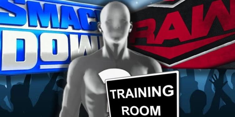wwe-superstar's-4-year-old-son-has-started-pro-wrestling-training-–-ringside-news