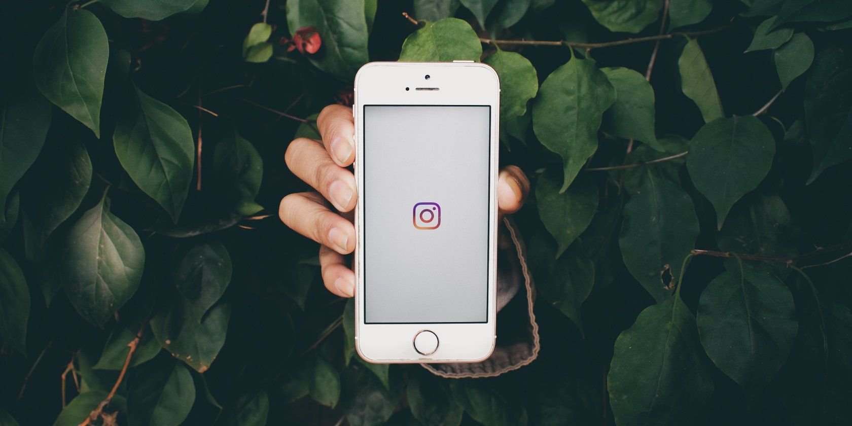 how-to-find-and-use-reels-templates-on-instagram-for-better-quality-videos-–-makeuseof