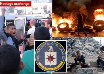 top-ranking-cia-official-shared-pro-palestinian-facebook-posts-weeks-after-hamas-attack:-report