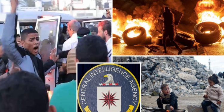 top-ranking-cia-official-shared-pro-palestinian-facebook-posts-weeks-after-hamas-attack:-report