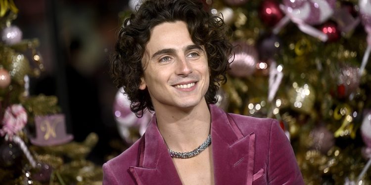 timothee-chalamet-on-high-school-youtube-videos-scoring-'wonka'-role-–-variety