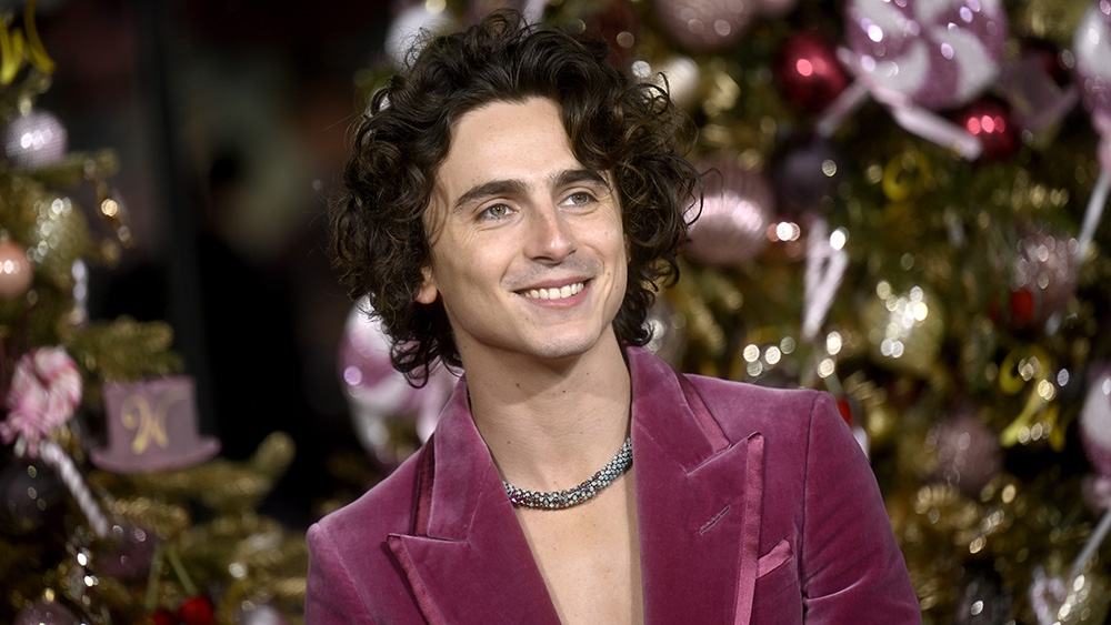 timothee-chalamet-on-high-school-youtube-videos-scoring-'wonka'-role-–-variety