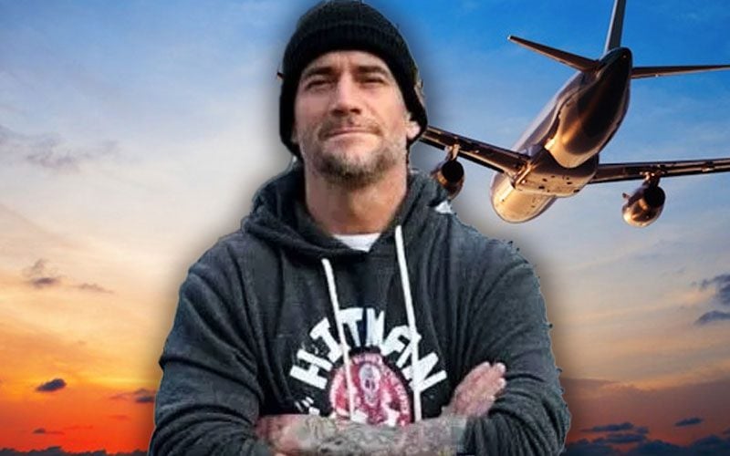 real-purpose-for-cm-punk-‘missed’-flight-before-wwe-nxt-deadline-–-ringside-news