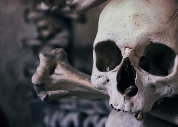 florida-woman-sold-body-parts-on-facebook-marketplace,-claimed-she-didn’t-know-it-was-illegal