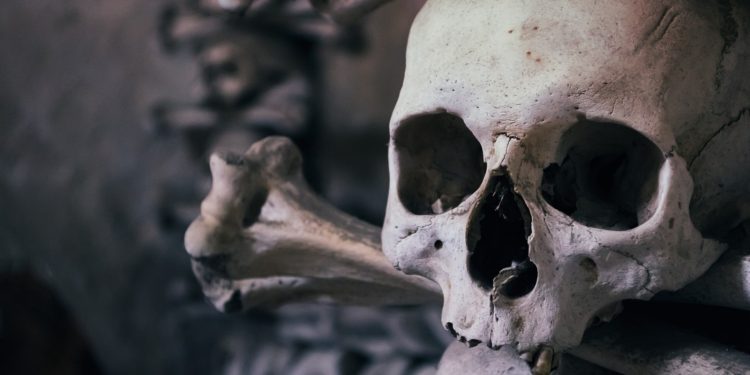 florida-woman-sold-body-parts-on-facebook-marketplace,-claimed-she-didn’t-know-it-was-illegal