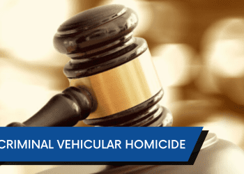 oronoco-man-charged-with-criminal-vehicular-homicide-after-using-snapchat-while-driving