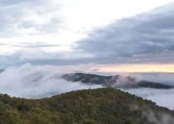 shenandoah-trailer-on-vimeo
