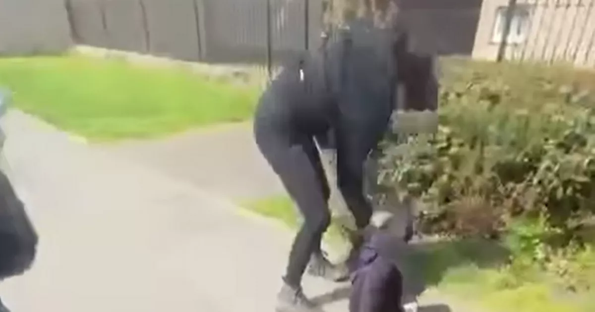 sick-moment-schoolgirl-battered-by-‘gang-of-40-pupils’-as-teens-film-attack-for-snapchat