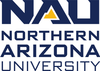 how-urban-rats-spread-deadly-bacteria-as-they-migrate-–-the-nau-review