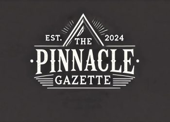 egypt’s-state-council-launches-official-linkedin-page-–-the-pinnacle-gazette