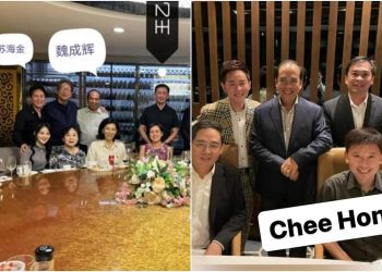 ong-ye-kung,-chee-hong-tat-and-ng-chee-meng-ask-facebook-user-to-withdraw-su-haijin-…