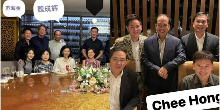 ong-ye-kung,-chee-hong-tat-and-ng-chee-meng-ask-facebook-user-to-withdraw-su-haijin-…