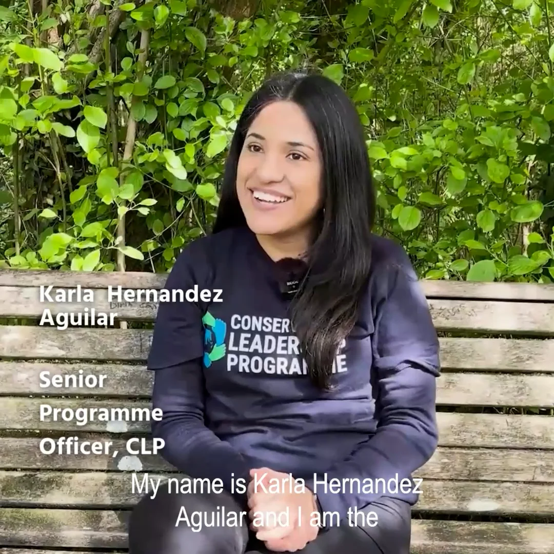 karla-clp-40th-anniversary-–-vimeo