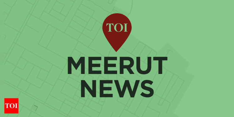 meerut-police’s-promise:-fir-in-24hrs,-case-updates-via-whatsapp-–-times-of-india