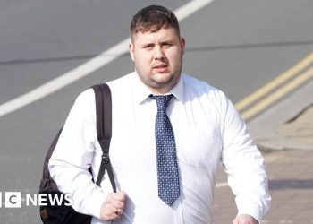 horsham-pc-admits-sending-child-sex-abuse-video-on-snapchat-–-bbc