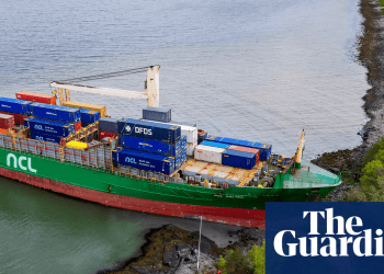 biodiversity-performance-and-a-ship-runs-aground-–-photos-of-the-day:-thursday-|-uk-news