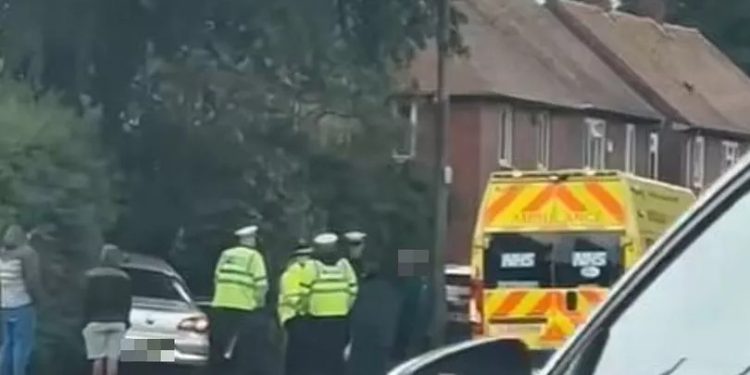 ‘drug-driver’-ploughs-into-hedge-off-manchester-road-–-yahoo-news-uk