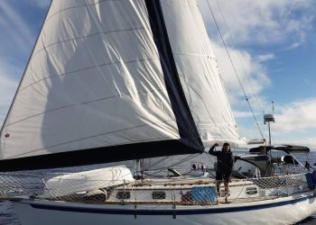 sailing-away-from-the-9-to-5:-man-and-his-cat-embrace-life-on-the-open-seas-–-iol