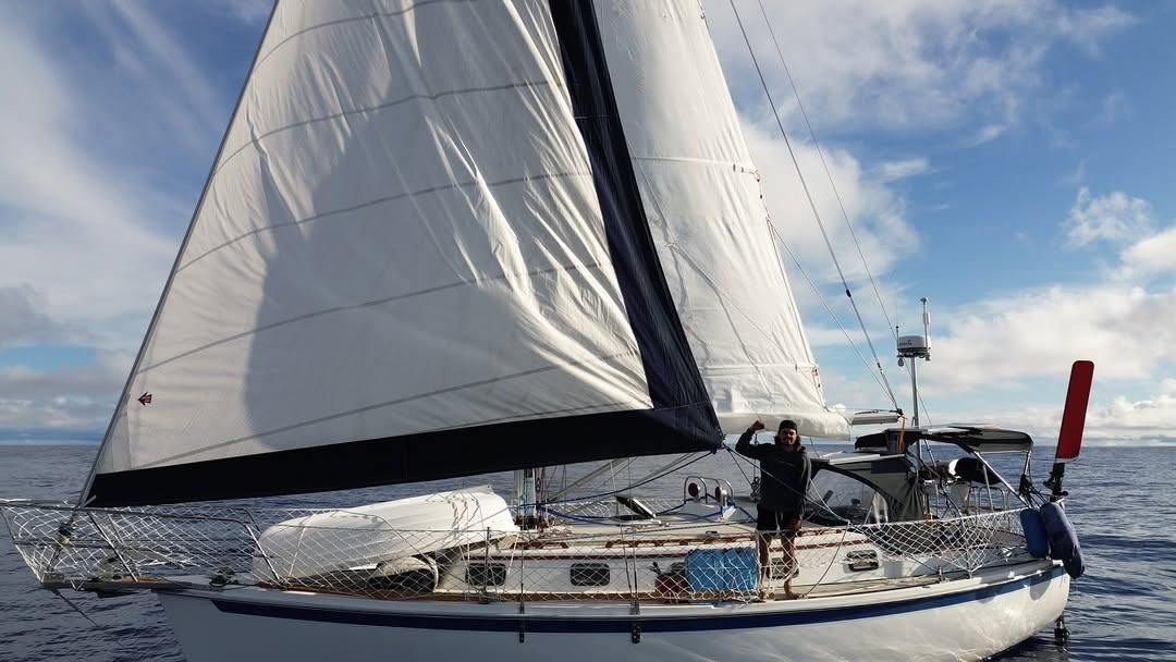 sailing-away-from-the-9-to-5:-man-and-his-cat-embrace-life-on-the-open-seas-–-iol