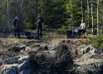 music-in-the-weeds:-watershed-group-–-wtip