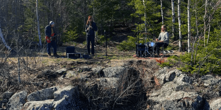 music-in-the-weeds:-watershed-group-–-wtip
