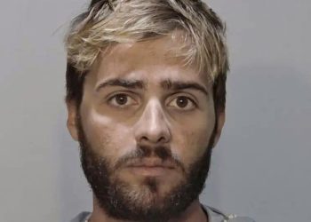 sailor-charged-after-‘revenge’-killing-of-shark-posted-in-gory-snapchat-video-–-daily-star