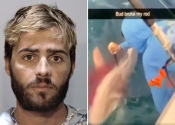 florida-man-arrested-for-repeatedly-stabbing-shark-in-head-as-‘revenge’-for-stealing-fish-after-…