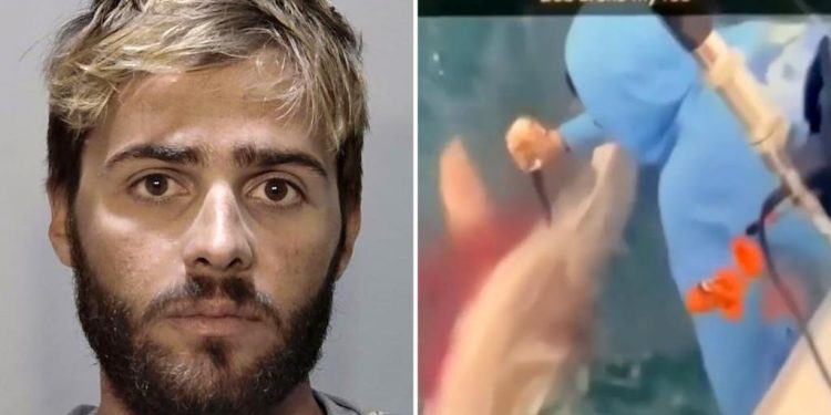 florida-man-arrested-for-repeatedly-stabbing-shark-in-head-as-‘revenge’-for-stealing-fish-after-…