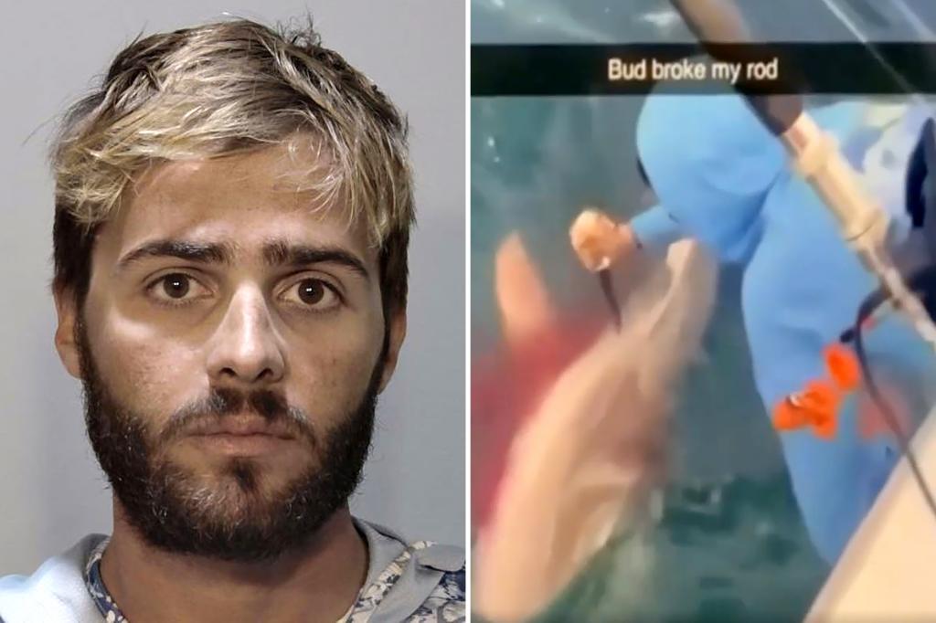 florida-man-arrested-for-repeatedly-stabbing-shark-in-head-as-‘revenge’-for-stealing-fish-after-…
