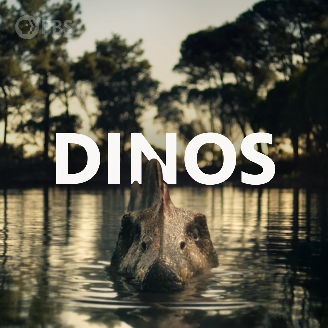 dino-week-2025-on-vpm-pbs-–-vimeo