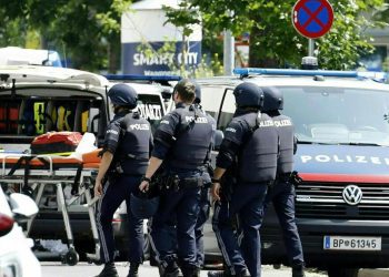 gunman-kills-9-in-a-mass-shooting-at-a-school-in-austria-–-wvia