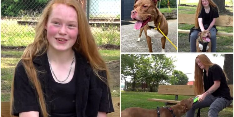 virginia-family-finds-lost-‘quarantine-puppy’-through-shelter’s-facebook-post-–-wtvr.com