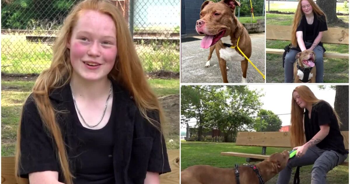 virginia-family-finds-lost-‘quarantine-puppy’-through-shelter’s-facebook-post-–-wtvr.com