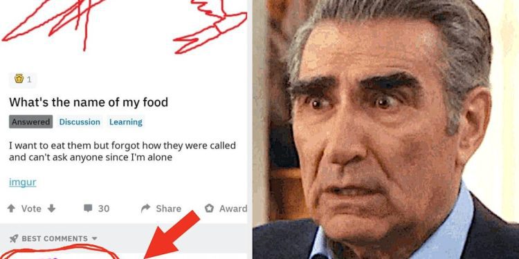 i’m-literally-fighting-back-tears-looking-at-these-29-pictures-that-are-pretty-much-…-–-yahoo