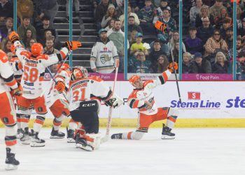 fox-confirms-watling’s-retirement-but-says-good-news-on-the-way-–-sheffield-steelers