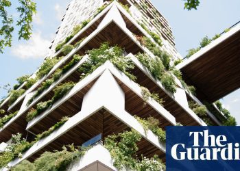 a-vertical-forest-growing-in-the-netherlands:-in-pictures-|-environment-|-the-guardian