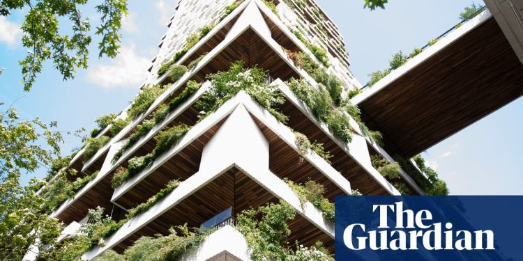 a-vertical-forest-growing-in-the-netherlands:-in-pictures-|-environment-|-the-guardian