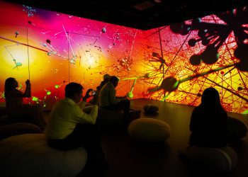 immersing-oneself-in-data-—-and-covid-misinformation-—-at-the-art-gallery