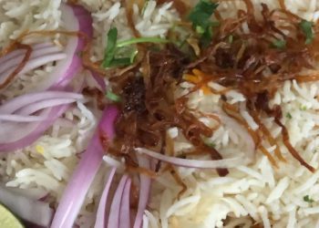 spicelife-indian-fare-brings-bold-flavors-to-bradlee-shopping-center-–-the-zebra-press