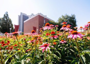 university-housing-services-celebrates-recipients-of-the-floyd-hoelting-team-player-award