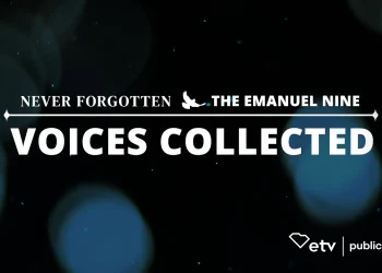 voices-collected-gavin-promo-1-–-vimeo